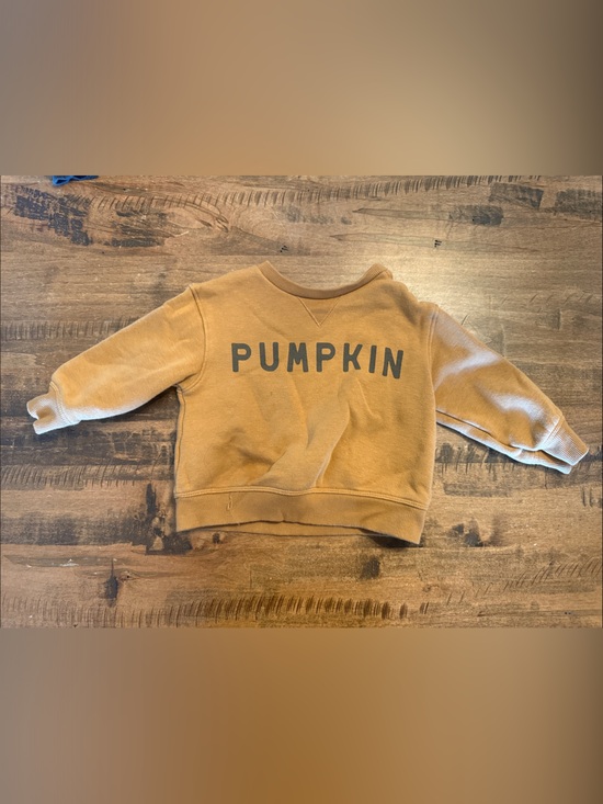 Little Co. By Lauren Conrad Other - Kids Pumpkin Graphic Sweatshirt - Brown